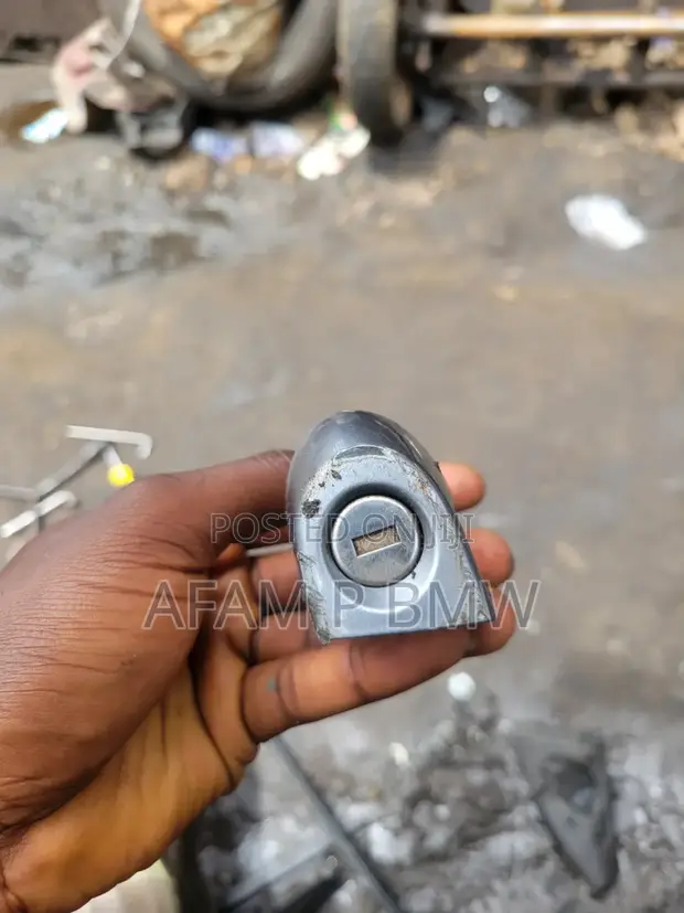 BMW E90, E60, X3, E70, F30, F10, X6 Door Key - 1
