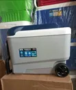 Igloo Cooler 40 Quarts - 1