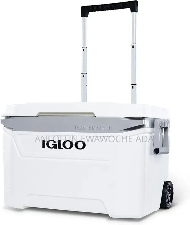 Igloo Cooler 60 Quarts - 1