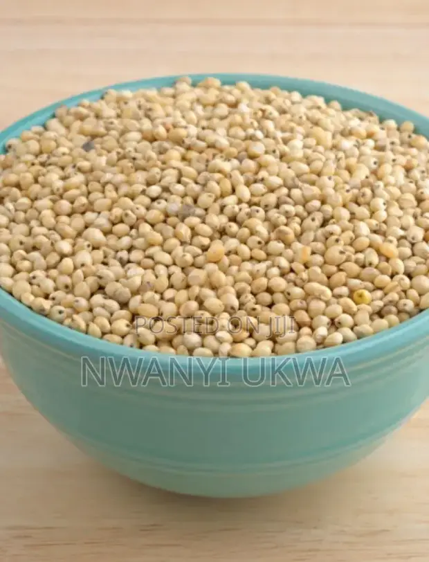 Premium Sorghum (Guinea Corn) - Abuja - 1