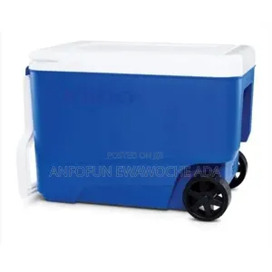 Igloo Cooler 38 Quarts