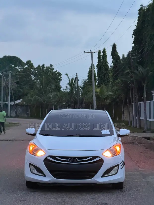 Hyundai Elantra GT Hatchback 2013 - 1