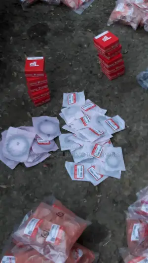 Mai Rufe Mai (Oil Seal) na Motocin Honda da Acura