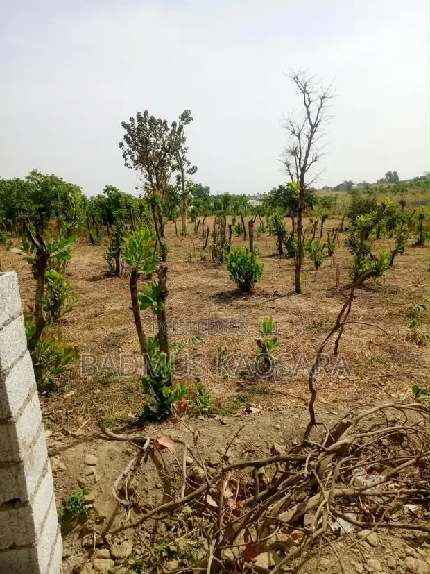 Filin Zama Mai Kyau Don Siyawa A Kuje (350SQM) - 1