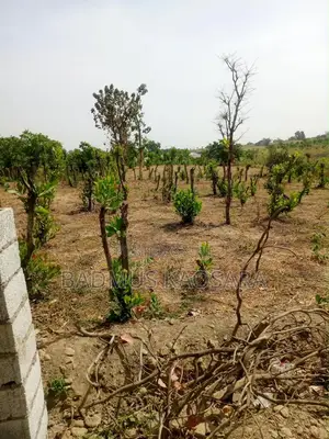 Prime Residential Land for Sale in Kuje (350SQM)