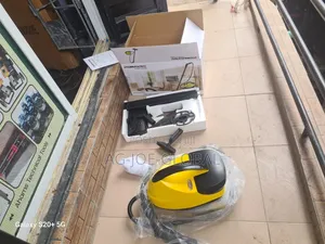 AG 5 Bar Steam Cleaner Machine (220V)