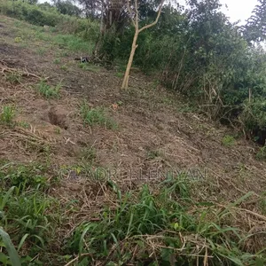 Filin Noma Don Siyarwa a Ado-Odo/Ota