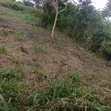 Filin Noma Don Siyarwa a Ado-Odo/Ota - 1