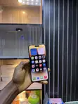 Apple iPhone 14 Pro Max 128GB Gold - 3