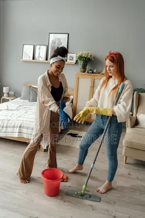 Reliable Cleaners Wanted - PECAW Solution