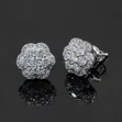Zirconia Earrings - 1