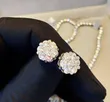 Zirconia Earrings - 2