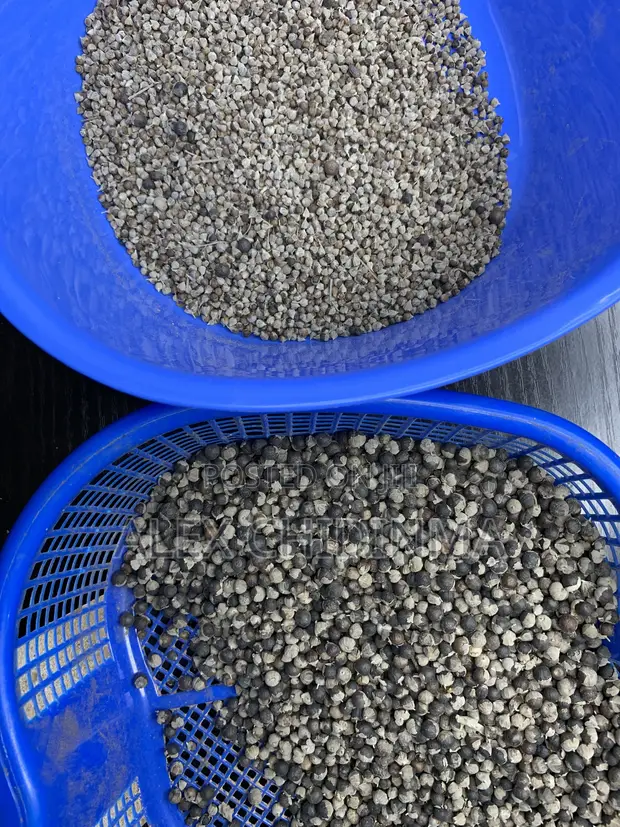 Vitex Chaste Berry Angus - 1