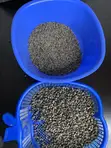 Vitex Chaste Berry Angus - 3