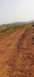 450sqm Estate Land for 3-Bedroom Penthouse + 2 Rooms BQ in Maitama - 1