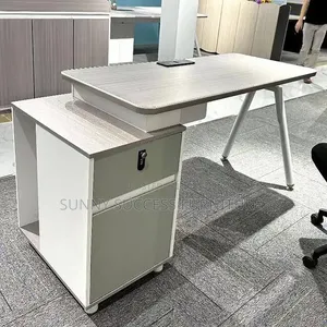 1.2m Modern Executive Office Desk tare da 2-Tier Storage Pedestal