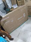 Brand New Hisense 75-inch QLED Smart TV 75Q6Q - 2
