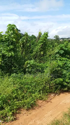 15+ Acres Land for Sale, Oluyole LGA Ibadan