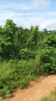 15+ Acres Land for Sale, Oluyole LGA Ibadan - 1
