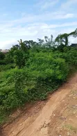 15+ Acres Land for Sale, Oluyole LGA Ibadan - 4
