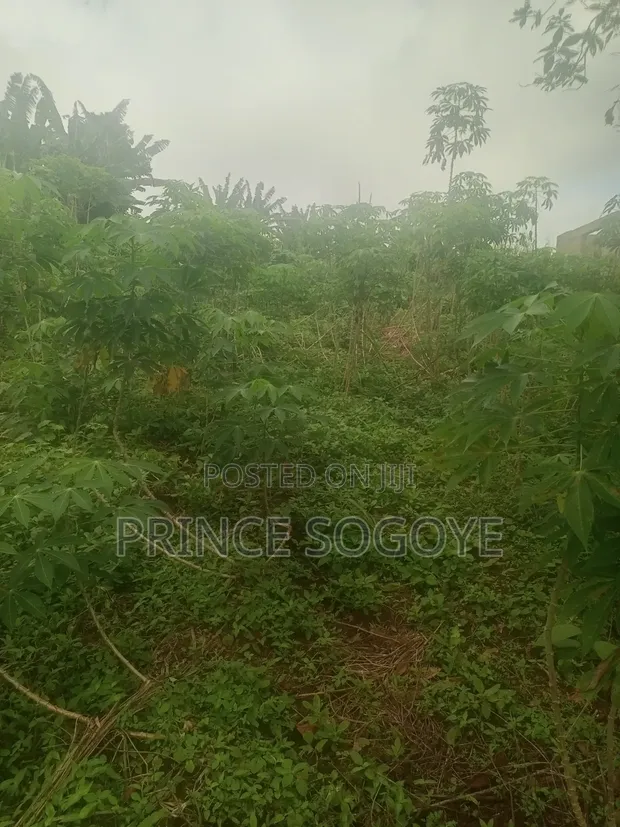 Filin Ƙasa Don Siyarwa a Obafemi-Owode - 1