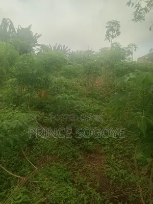 Plot of Land for Sale in Obafemi-Owode