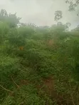 Filin Ƙasa Don Siyarwa a Obafemi-Owode - 1