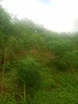 Filin Ƙasa Don Siyarwa a Obafemi-Owode - 2