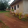2 Bedroom Bungalow for Rent in Old GRA, Enugu - 1