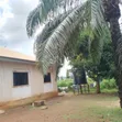 2 Bedroom Bungalow for Rent in Old GRA, Enugu - 4