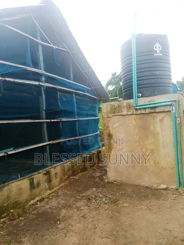 Poultry Farm Pen for Rent - 1
