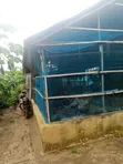 Poultry Farm Pen for Rent - 2