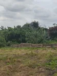 Filaye Guda Uku Don Siyarwa a Alagbaka GRA Extension - 5