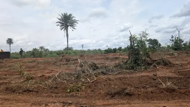 Goshen City Estate Plot - Illah, Delta State - 1