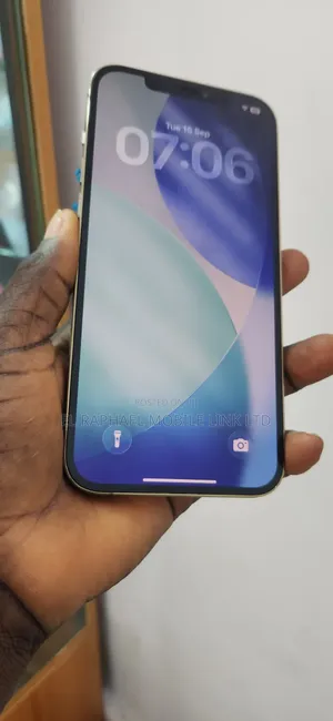 Apple iPhone 12 Pro Max 256GB UK Used