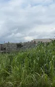 1-Bedroom Bungalow for Sale in Ado-Odo/Ota - 5