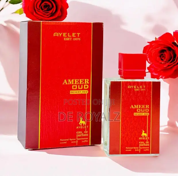 Ayelet Amber Oud 100ml Eau de Parfum - 1