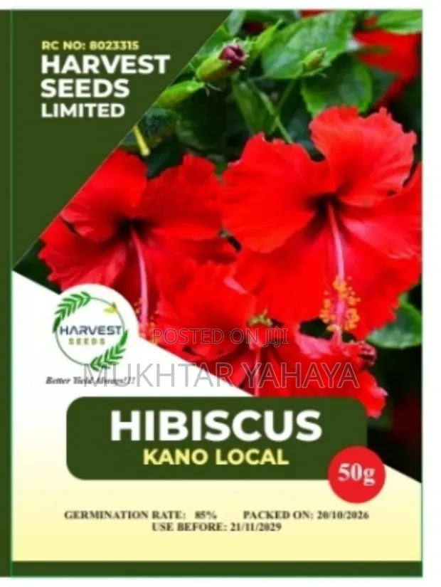 1st Choice Hibiscus Tsaba - Kano Local - 1