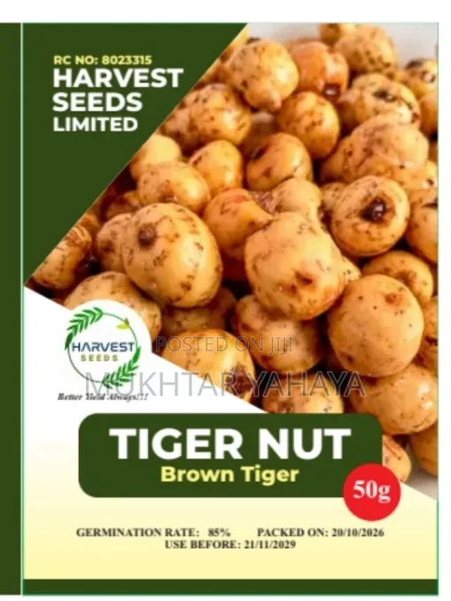 Tiger Nut, Brown - 1st Choice - 1
