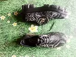 Original Gina Boho Style Leather Slippers - Size 45 - 2