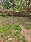 2 Plots of Land on Tarred Road, Alagbaka GRA Extension - 2