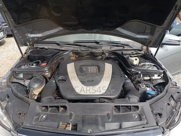 Mercedes-Benz C300 2009 Gray - 1