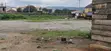 7700sqm Commercial Land for Sale in Jahi - 1