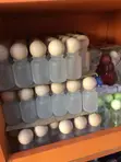 Perfume Bottles - 50ml, 10ml, 20ml, 100ml, 12ml, 15ml - 3