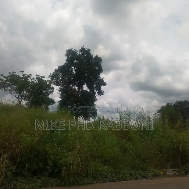 89 Plots of Land (44,500 Sqm) in Nkalagu, Ebonyi State with CofO - 1