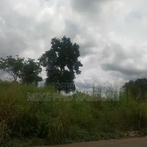 89 Plots of Land (44,500 Sqm) in Nkalagu, Ebonyi State with CofO