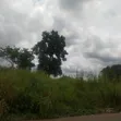 89 Plots of Land (44,500 Sqm) in Nkalagu, Ebonyi State with CofO - 1