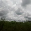 89 Plots of Land (44,500 Sqm) in Nkalagu, Ebonyi State with CofO - 2