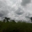 89 Plots of Land (44,500 Sqm) in Nkalagu, Ebonyi State with CofO - 3