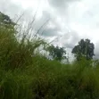 89 Plots of Land (44,500 Sqm) in Nkalagu, Ebonyi State with CofO - 4